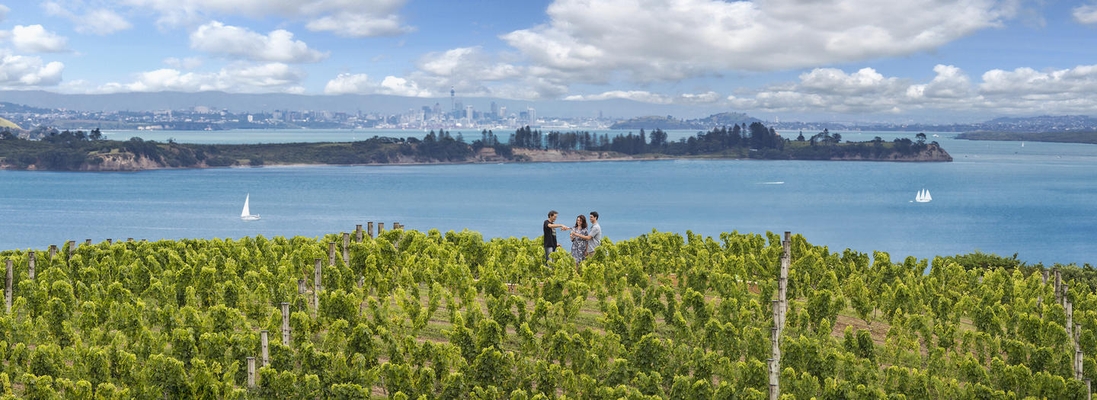 Visit Waiheke Island 'The Island of Wine'