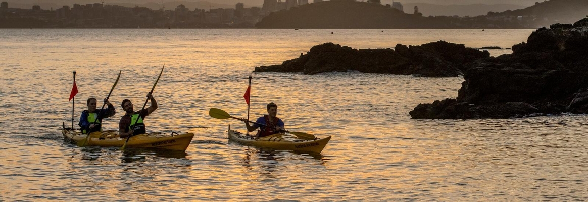 Kayak to Rangitoto Island