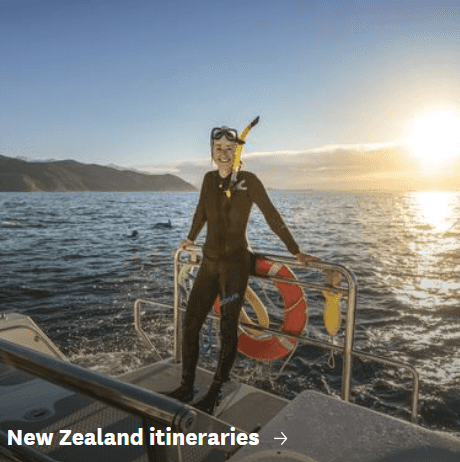 NZ itineraries