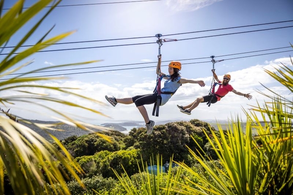 EcoZip Adventures Waiheke Island
